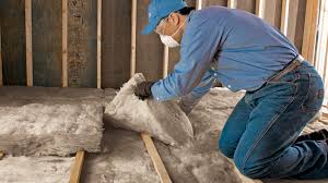 Best Attic Insulation Installation  in Cicero, IN